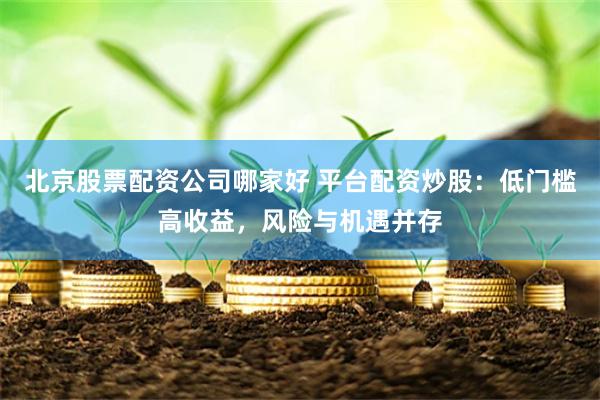 北京股票配资公司哪家好 平台配资炒股：低门槛高收益，风险与机遇并存