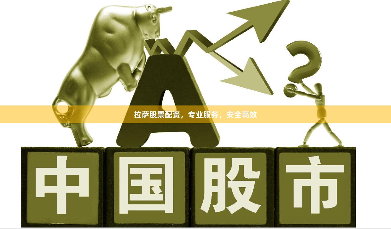拉萨股票配资，专业服务，安全高效