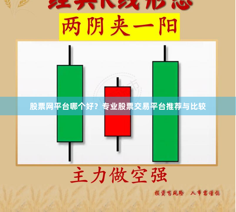 股票网平台哪个好？专业股票交易平台推荐与比较
